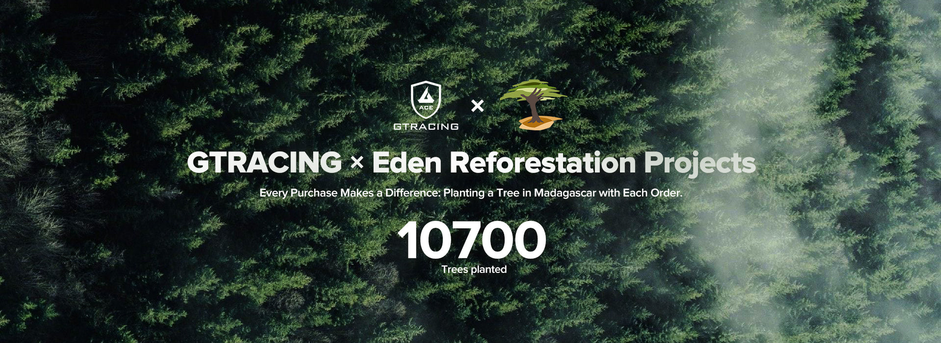 GTRACING*Eden Reforestation Projects