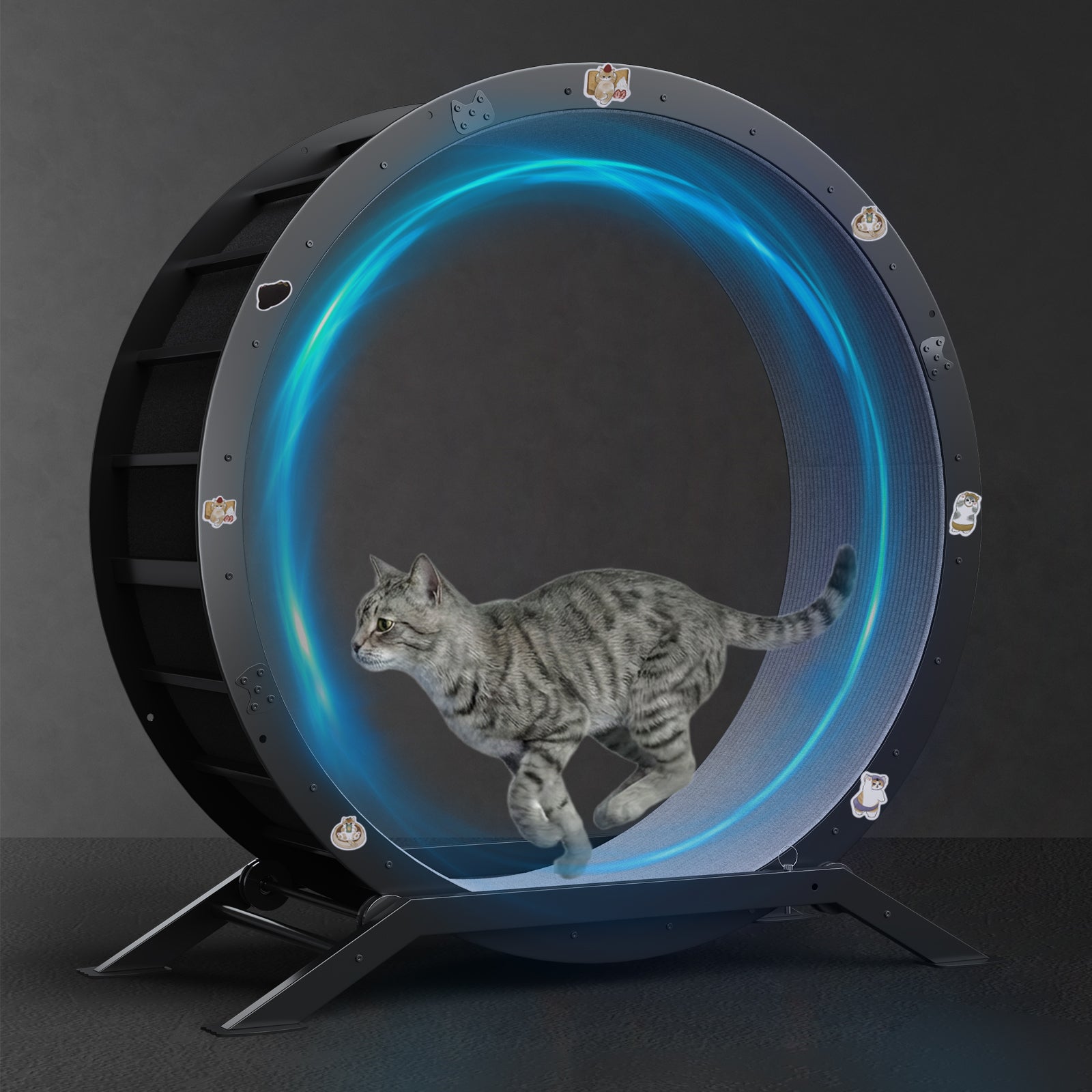 Cat Exercise Wheel Silent & Anti-Tip for Indoor Cats | GTPLAYER