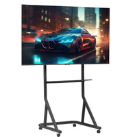 Monitor Stand Mobile TV Stand GTS09