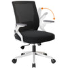 Ergonomic Office Chair CH219